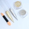 Набор пигментов Chrome Gold & Silver (2шт)