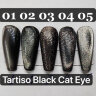 TARTISO BLACK CAT-04 магнитный гель лак,15мл