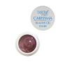 TARTISO UV Гель CARISSMA PEARL GEL №01 золотисто-розовый,50гр